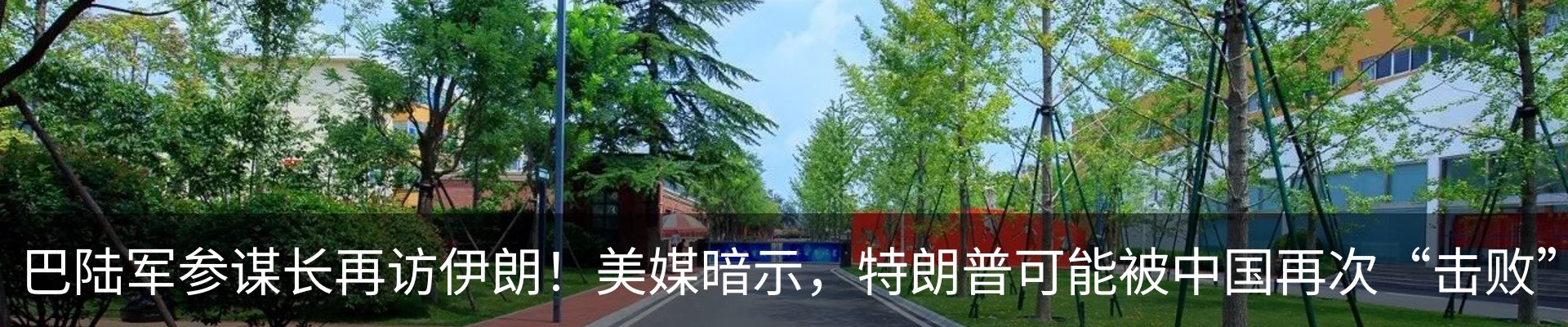 新闻动态