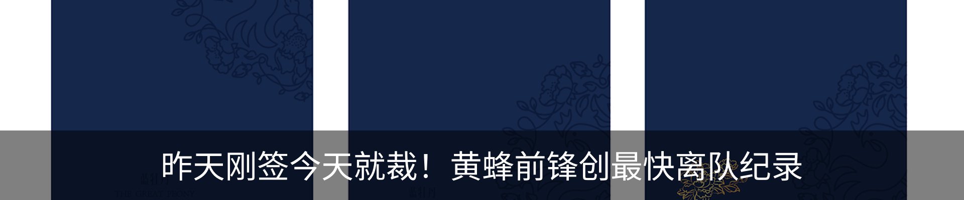 新闻动态