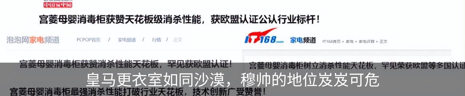 新闻动态